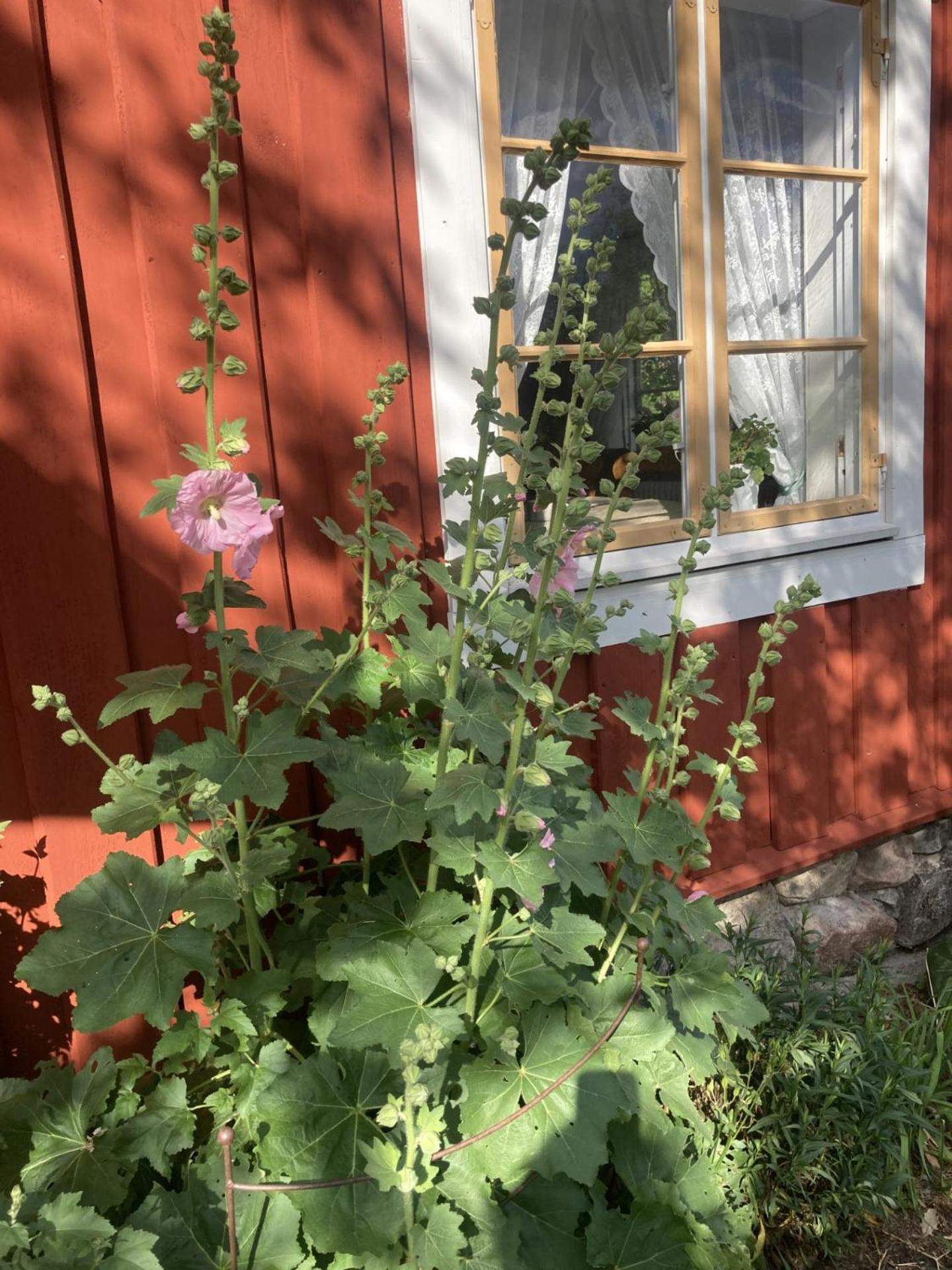 Thorstorps Gard B&B Soderkoping Luaran gambar